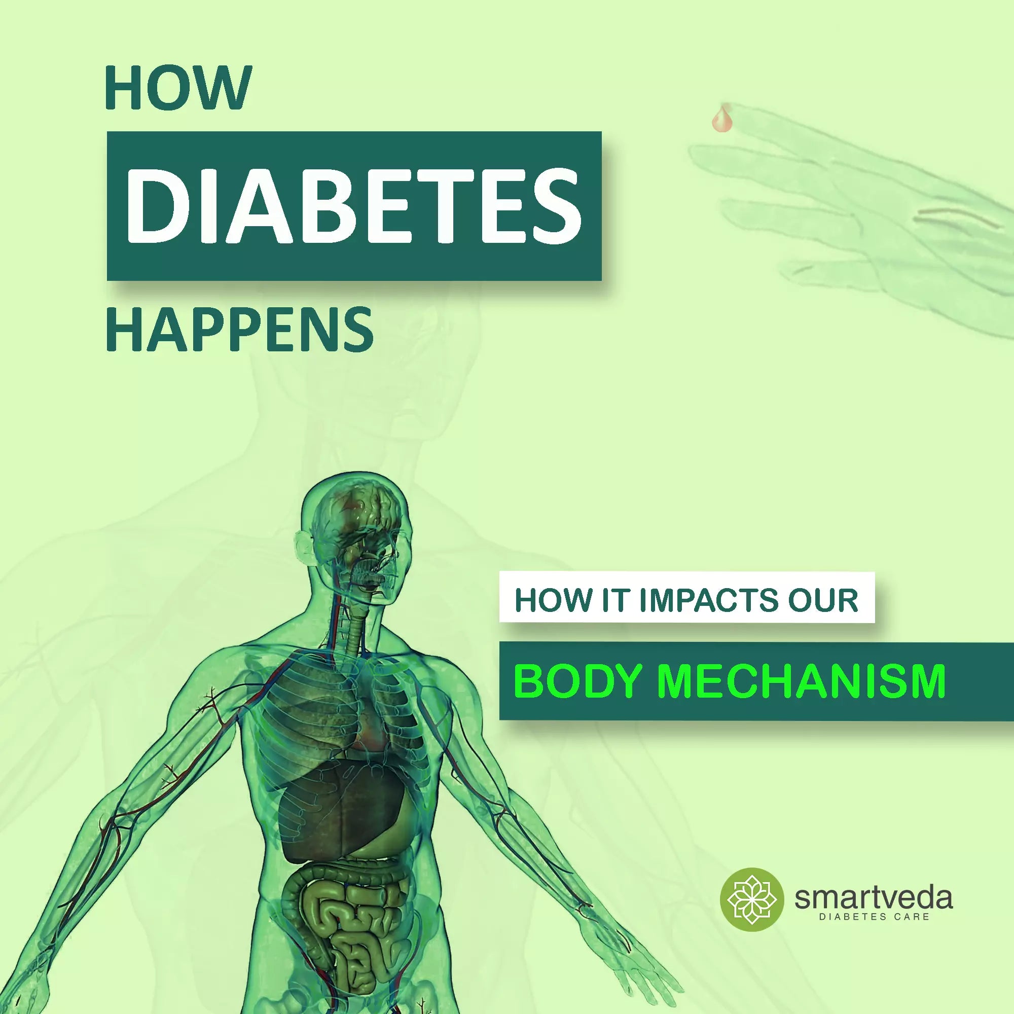 How Diabetes Happens – How it Impacts Body Mechanism