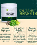 Smartveda's Ayurvedic Product Dybit Amrit